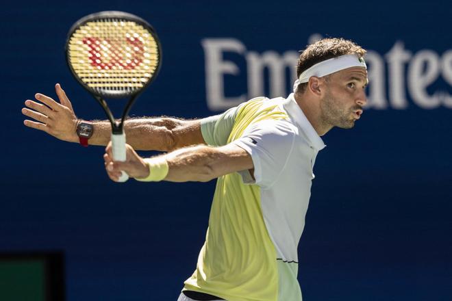 动爱好者的 动爱好者的