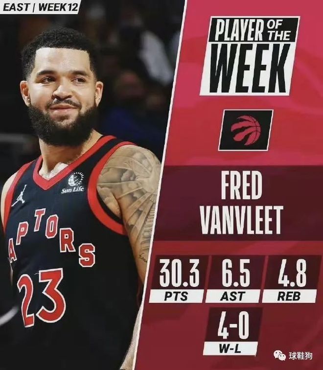 从体系上看 从体系上看