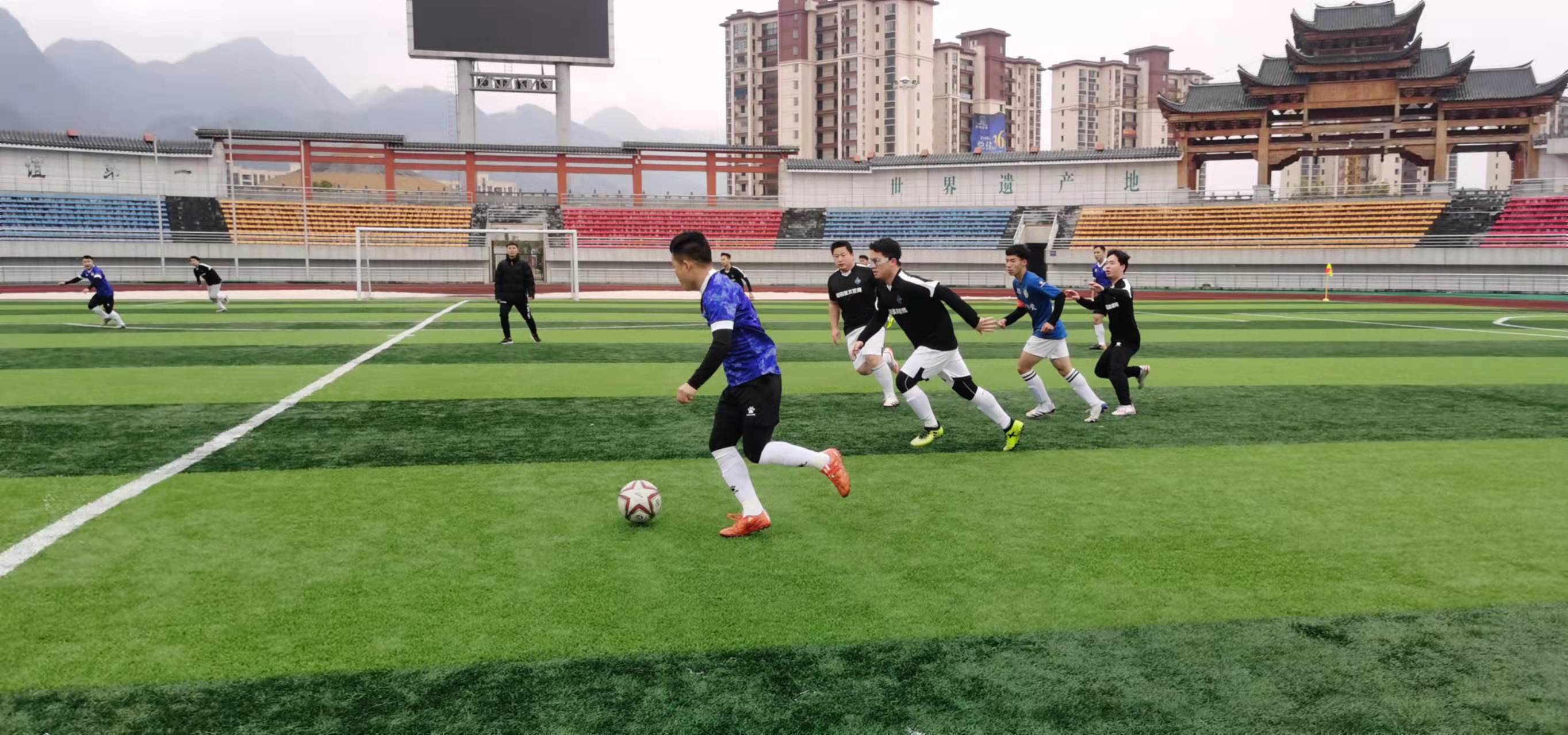 能在短周期 能在短周期